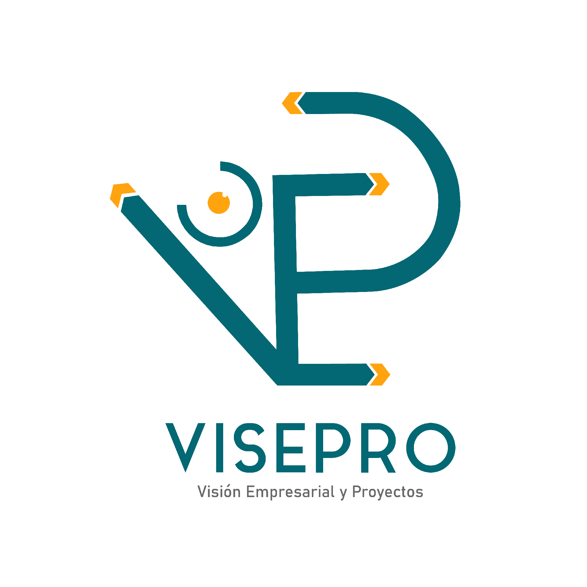 VISION EMPRESARIAL Y PROYECTOS